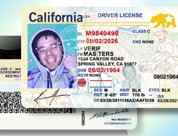 Driver's Licenses(USA)