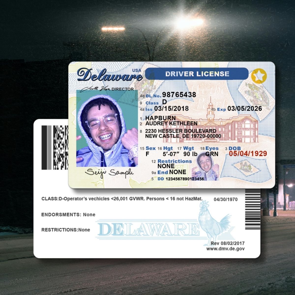 Delaware - DE Driver's License Photoshop Template