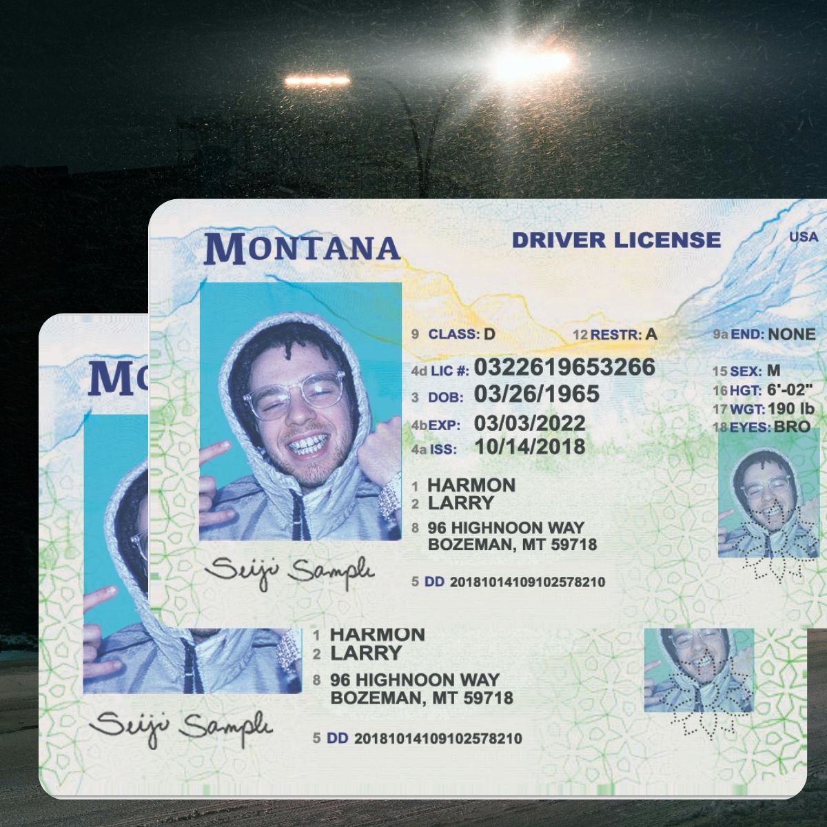 Montana - MT Driver's License Photoshop Template